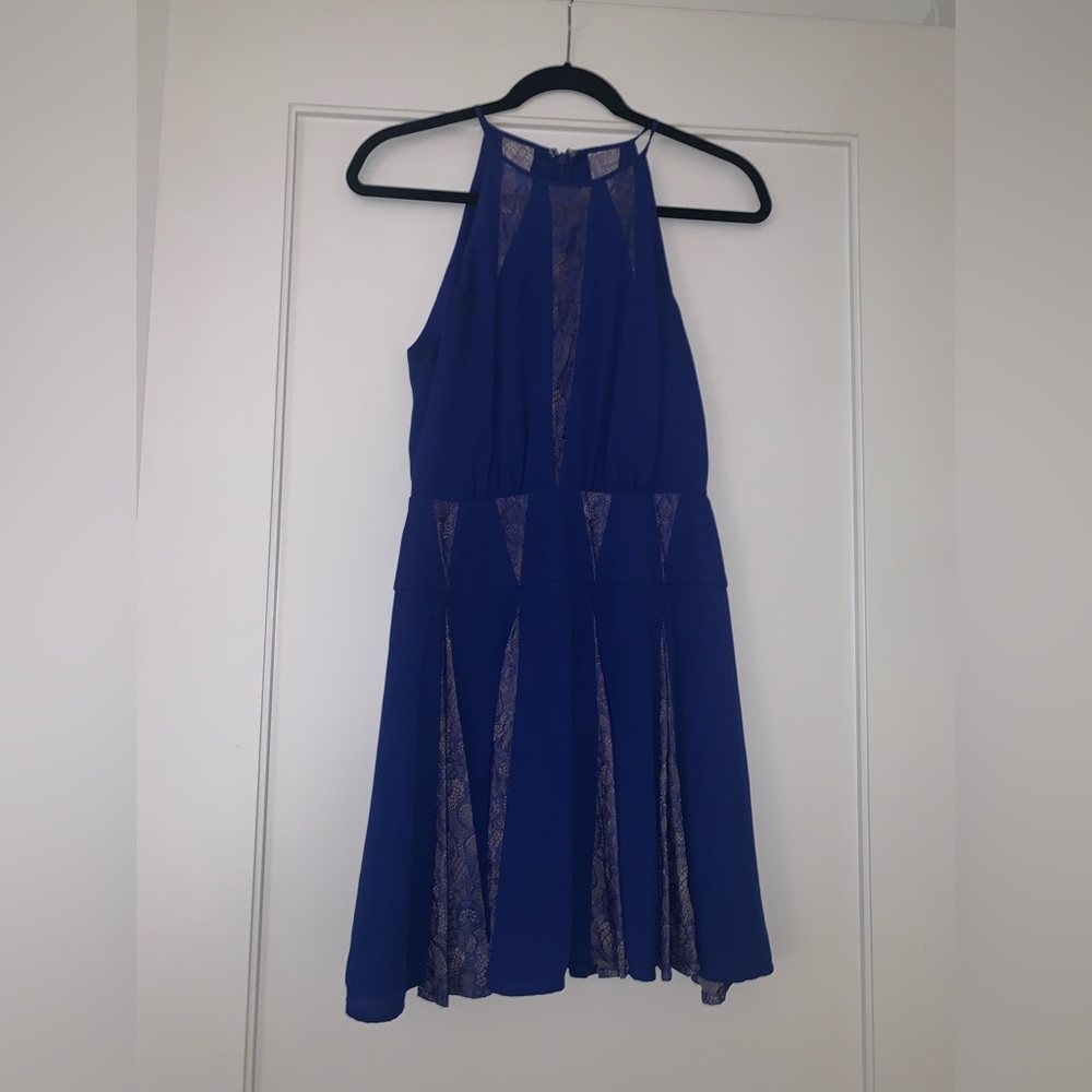 Blue And Beige BCBG Panel Dress